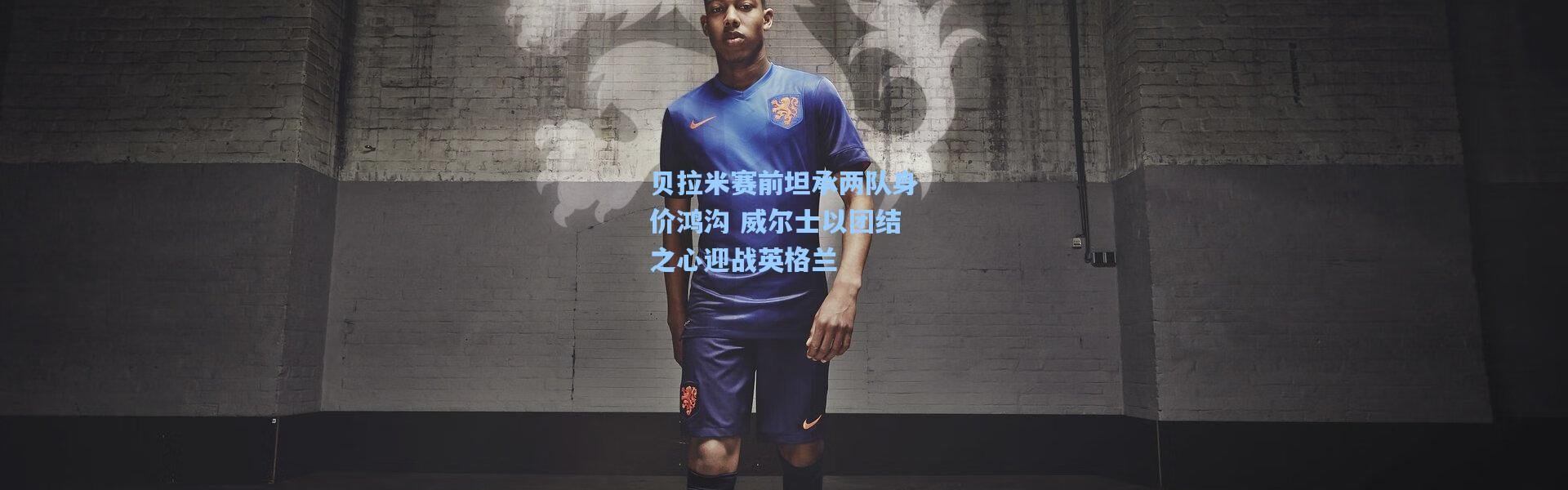 壹号娱乐h5：贝拉米赛前坦承两队身价鸿沟 威尔士以团结之心迎战英格兰