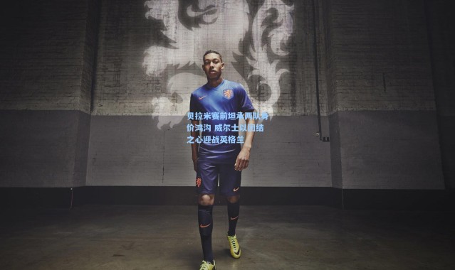 壹号娱乐h5：贝拉米赛前坦承两队身价鸿沟 威尔士以团结之心迎战英格兰