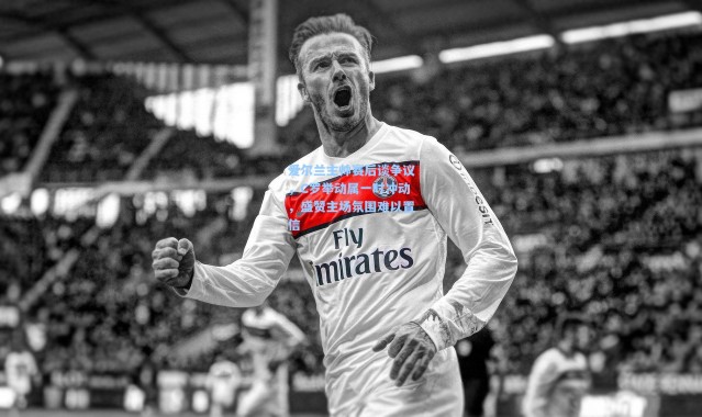 【壹号娱乐h5】爱尔兰主帅赛后谈争议，C罗举动属一时冲动，盛赞主场氛围难以置信